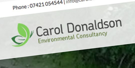 Carol Donaldson-logo
